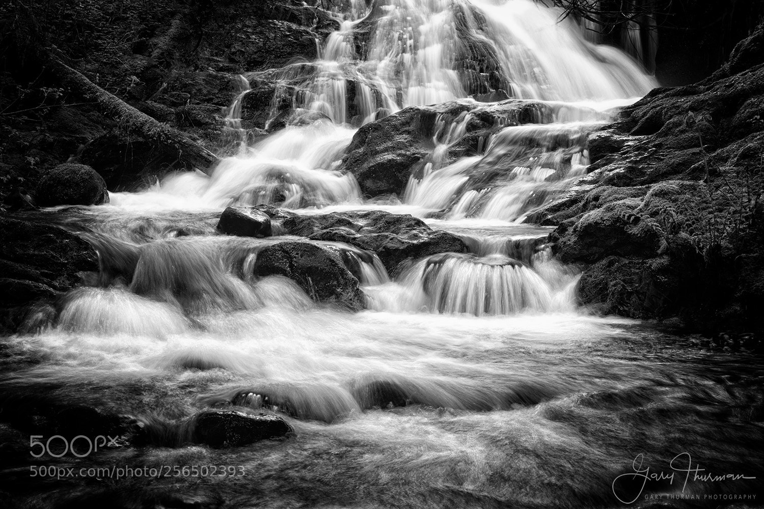 Canon EOS 7D Mark II sample photo. Spring runoff photography