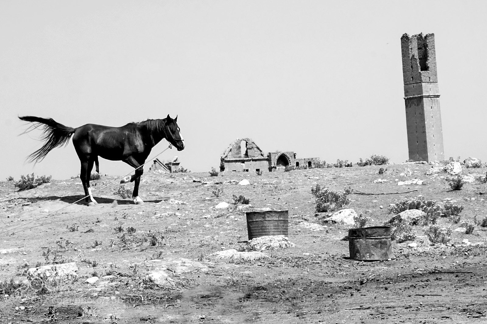 Nikon D700 sample photo. Harran surları photography