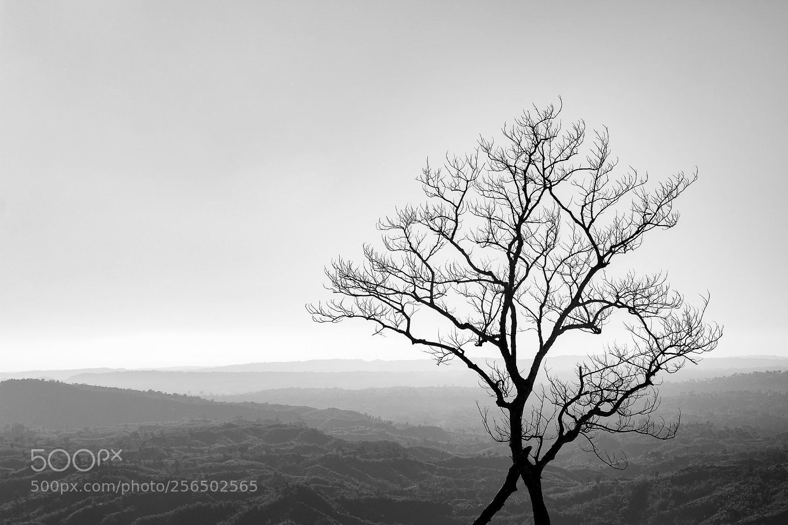 Canon EOS 70D sample photo. Beauty of mountains part 11 photography