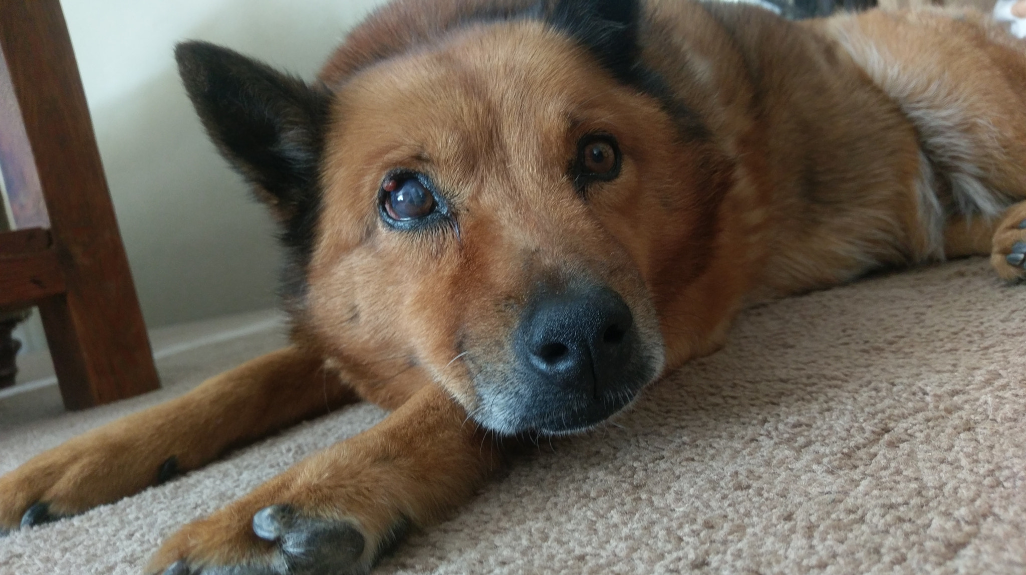HTC 10 sample photo