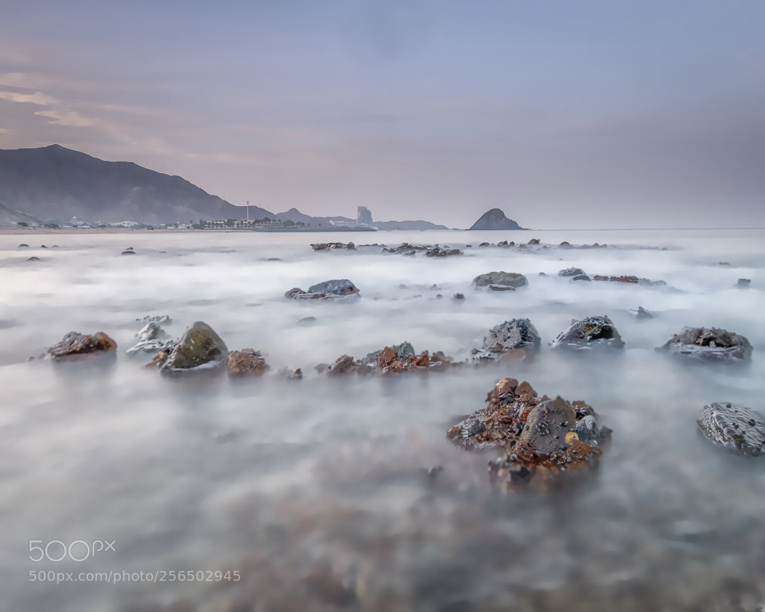 Nikon D850 sample photo. Al fujairah
 photography