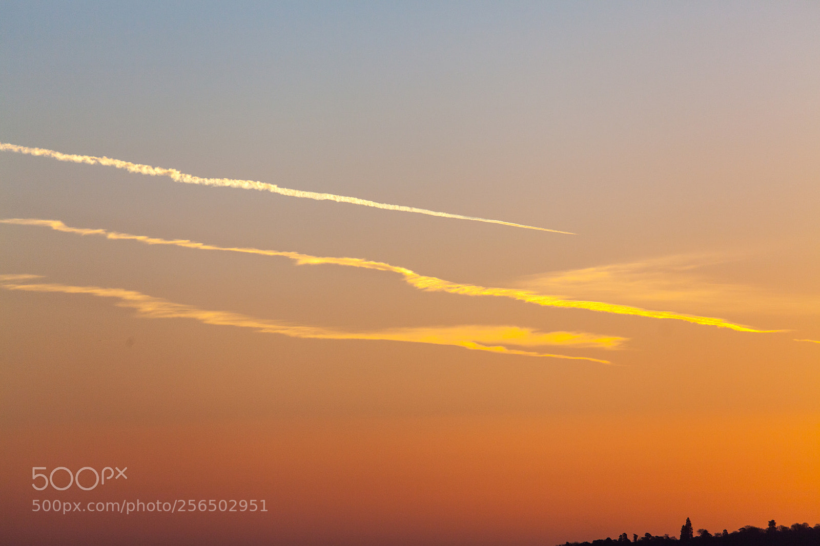 Canon EOS 5D Mark II sample photo. Untitled photography
