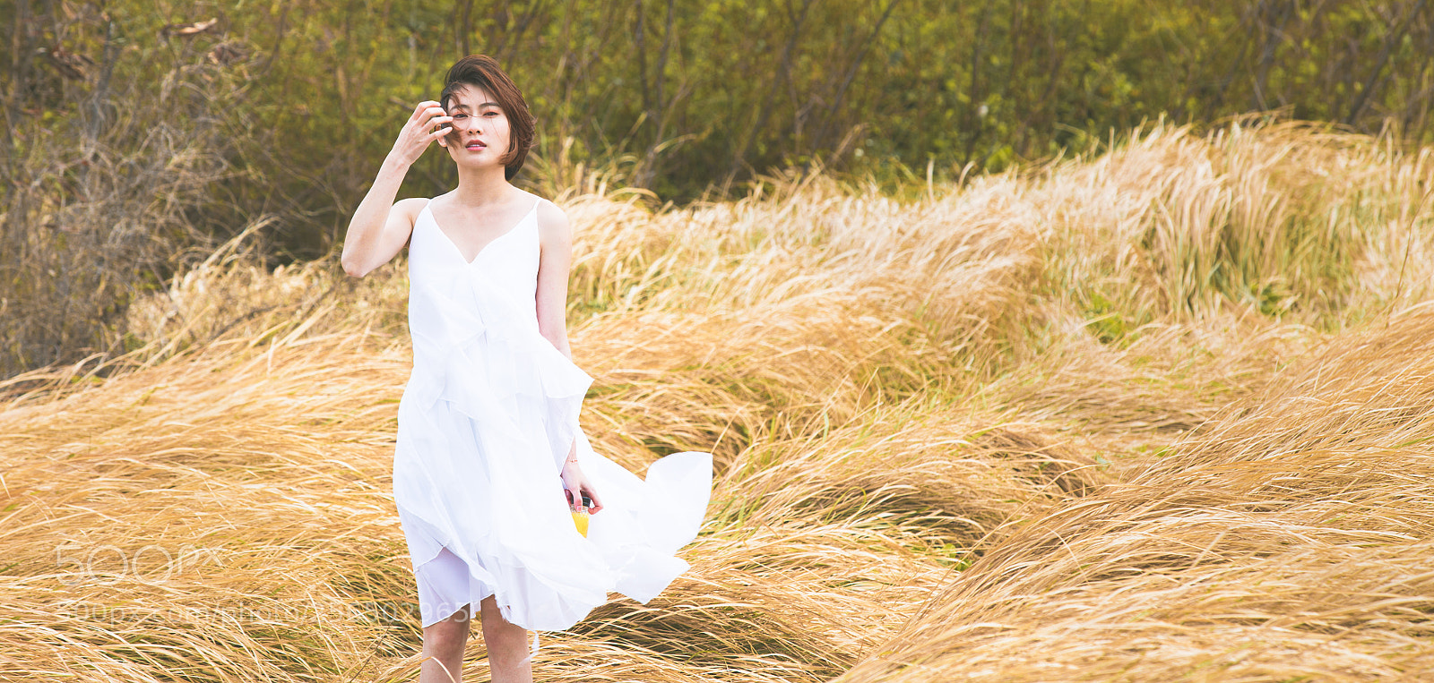 Canon EOS 6D sample photo. How photography
