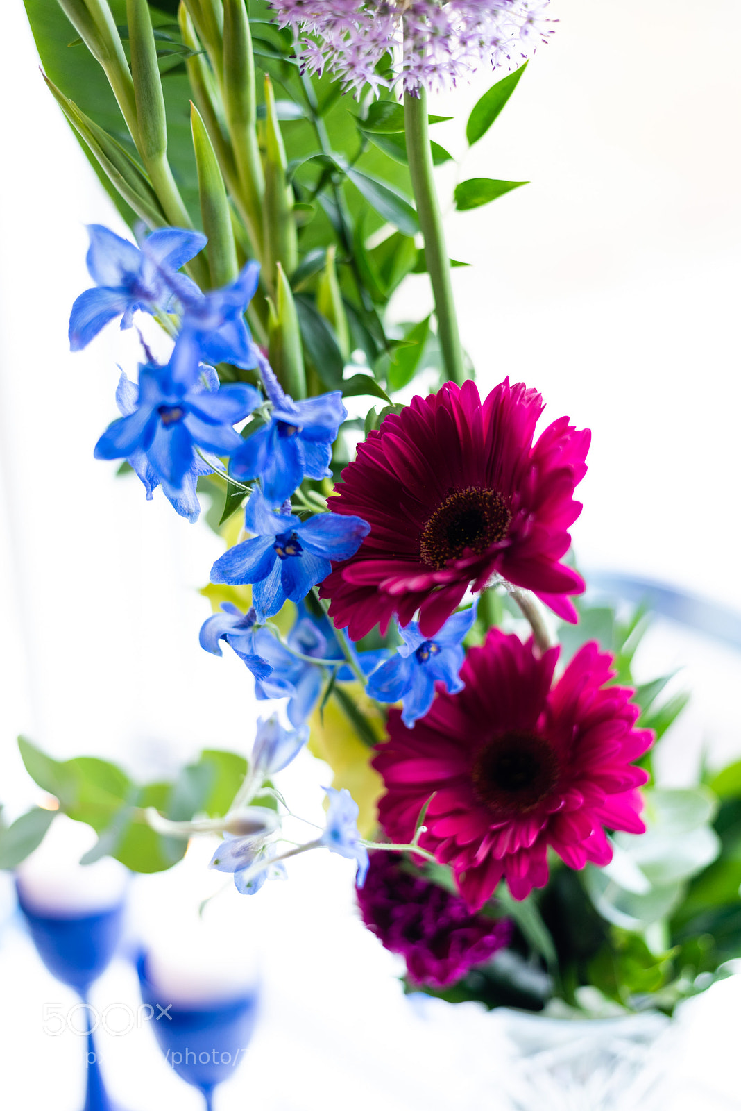 Nikon D750 sample photo. Flowers of joy photography