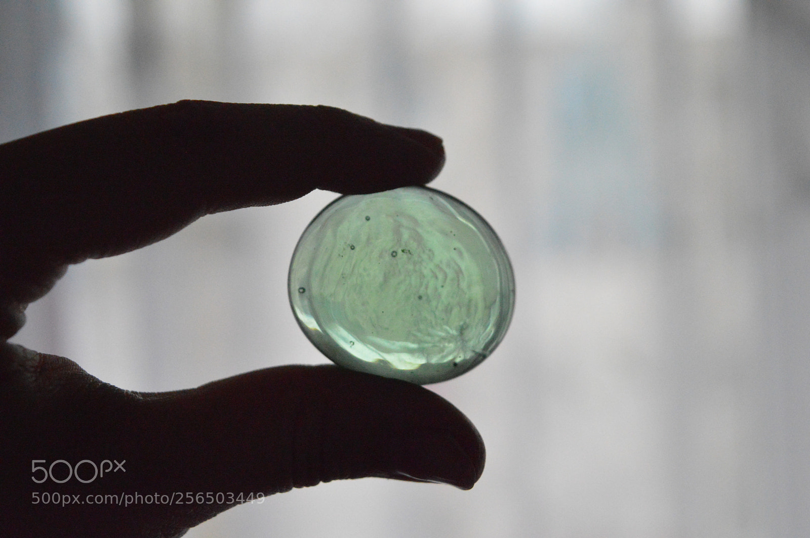 Nikon D3200 sample photo. The green one photography