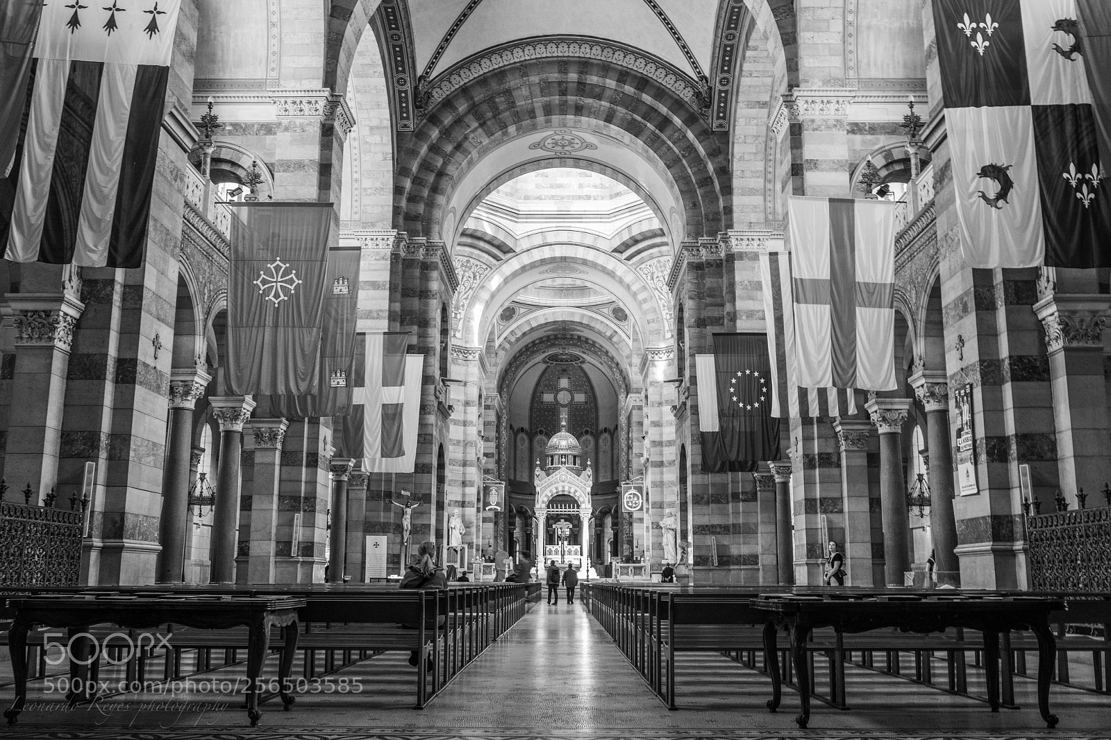 Sony a7R II sample photo. Dsc photography