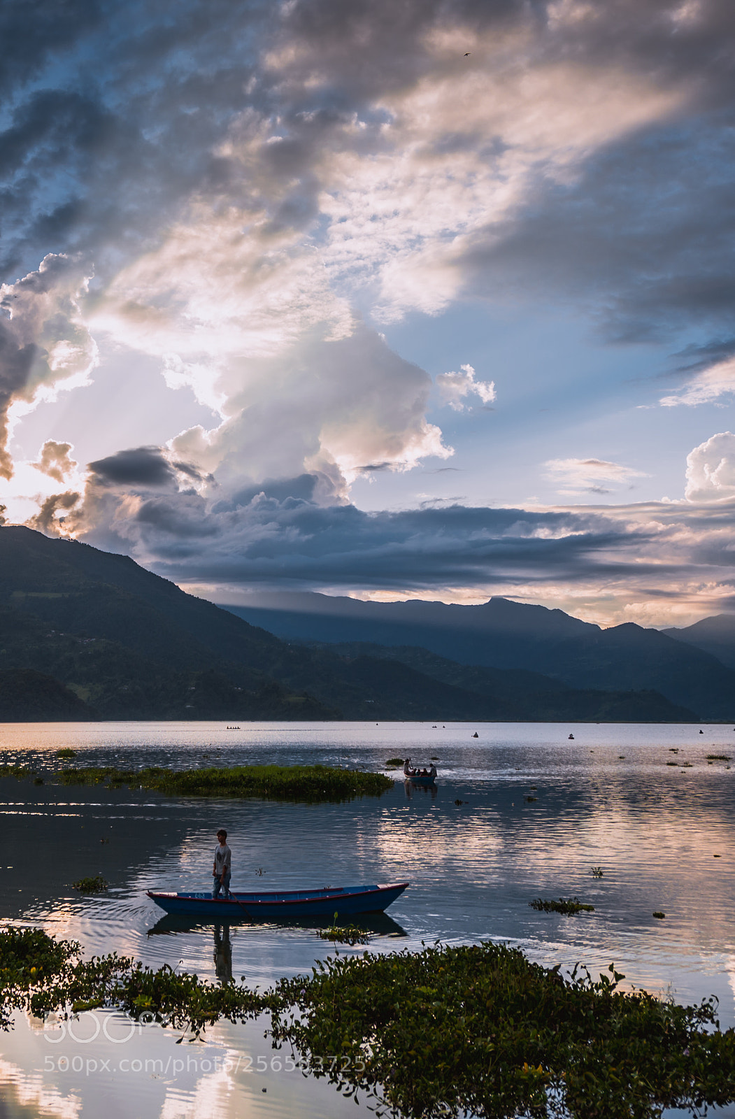 Nikon D600 sample photo. 费瓦湖 日落 尼泊尔 photography