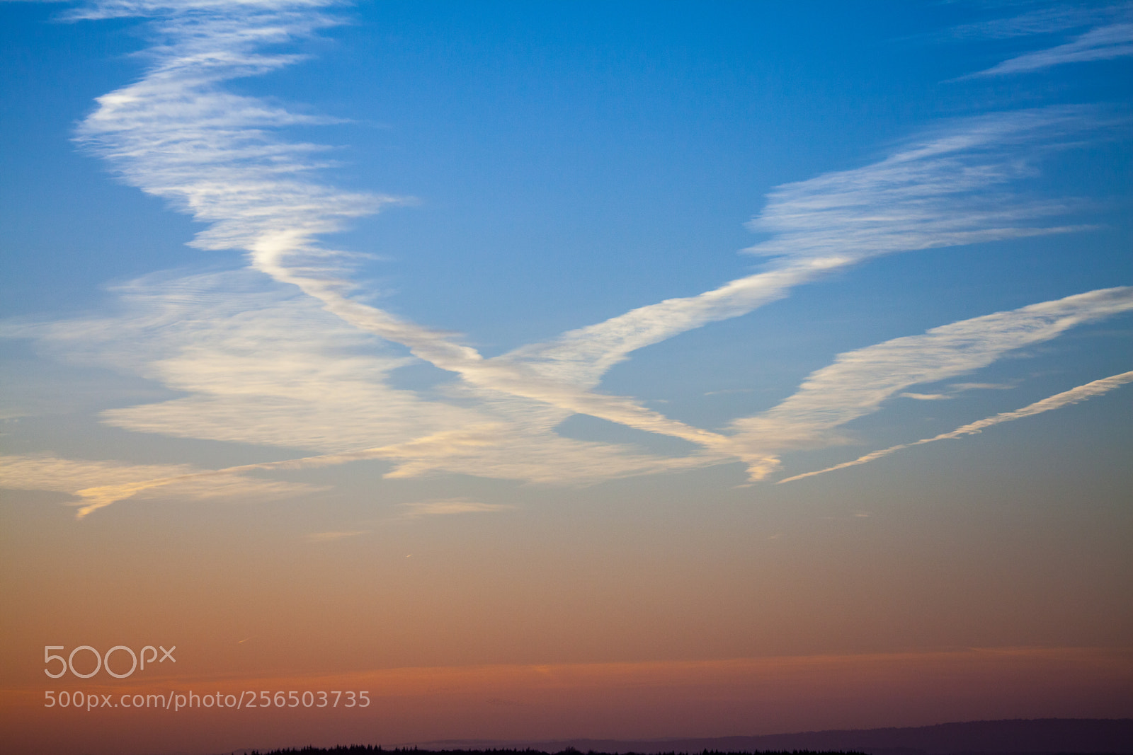 Canon EOS 5D Mark II sample photo. Untitled photography