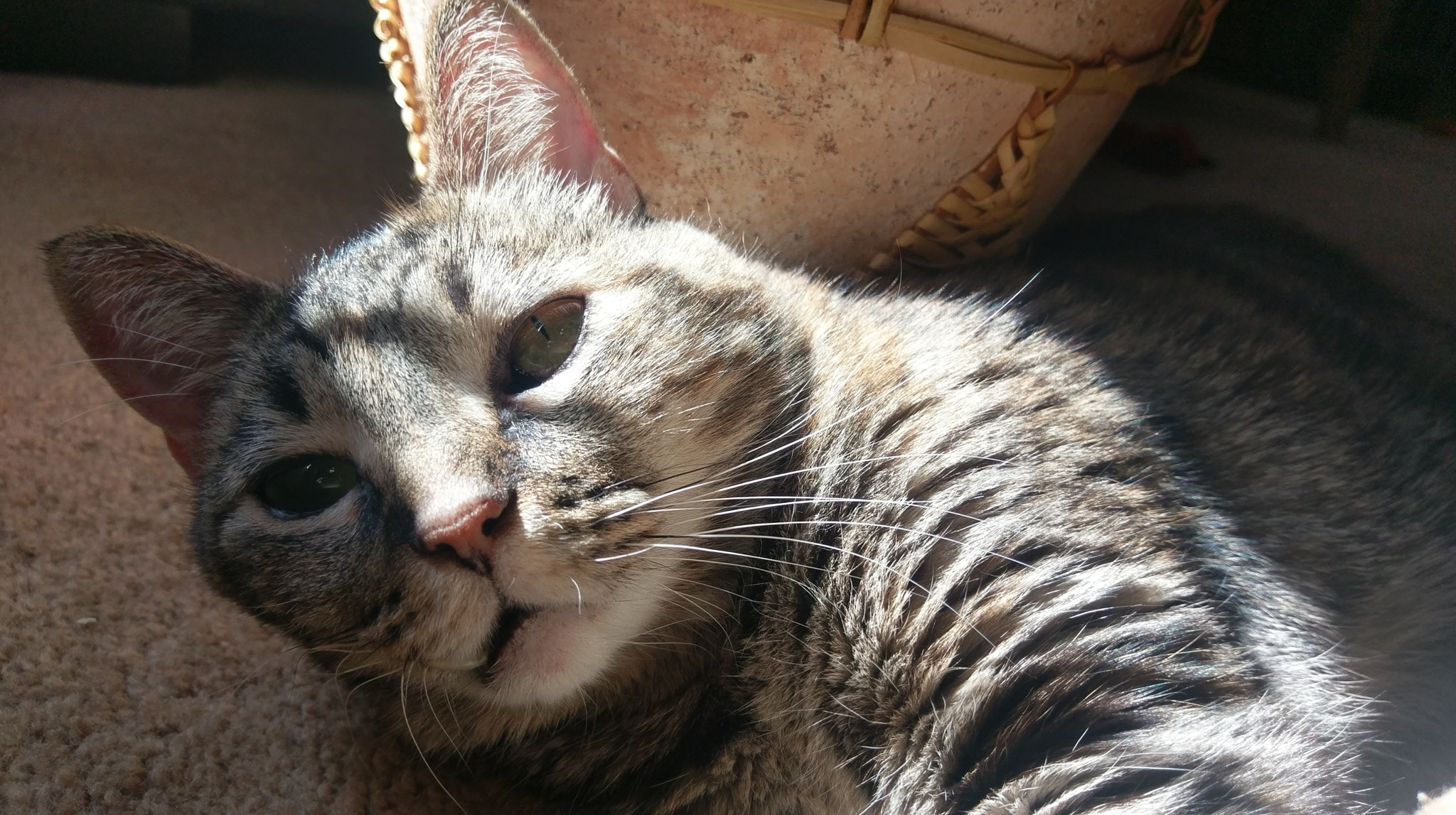 HTC 10 sample photo