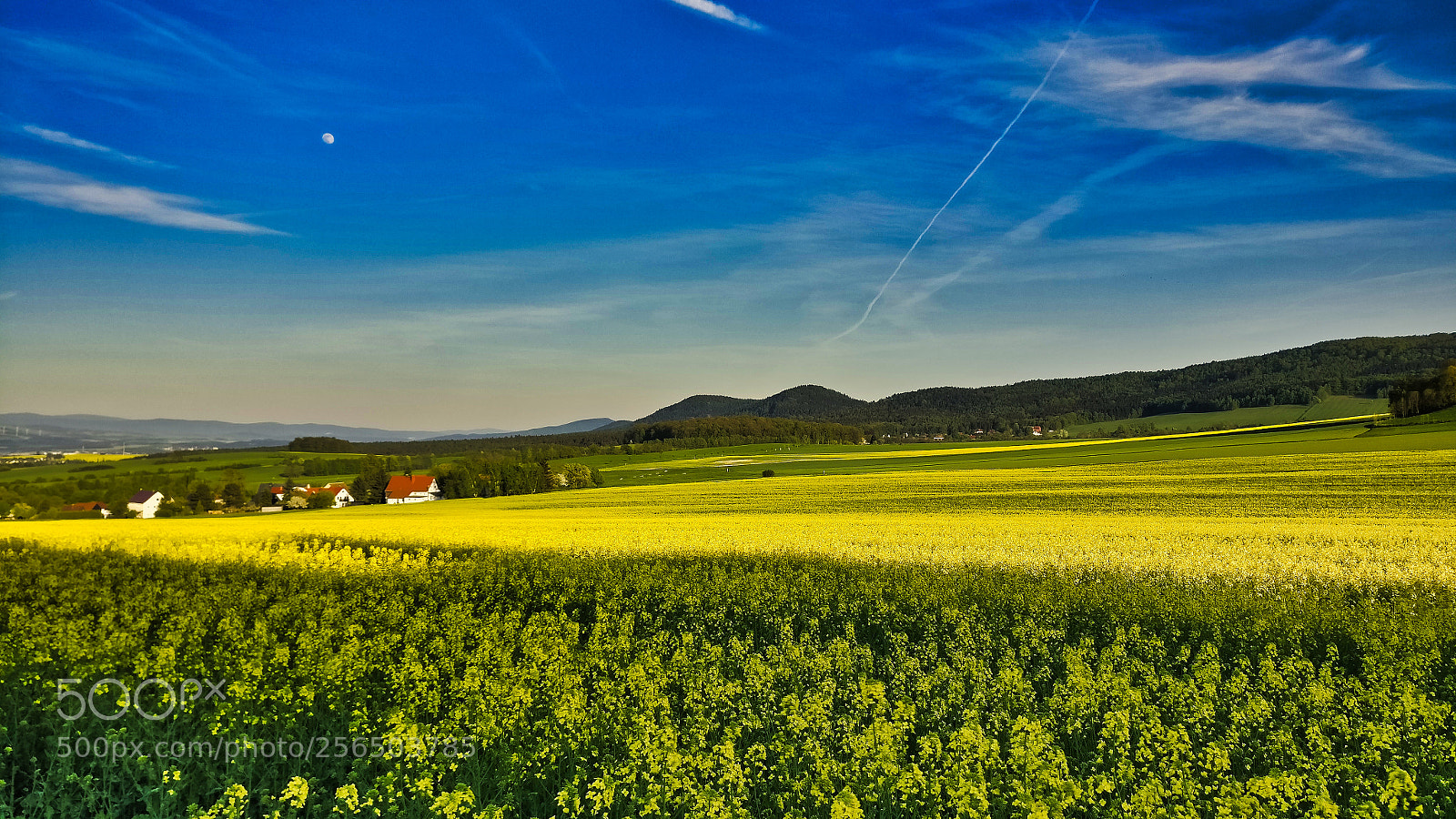 OnePlus A3003 sample photo. Blick ber bertsdorf auf photography