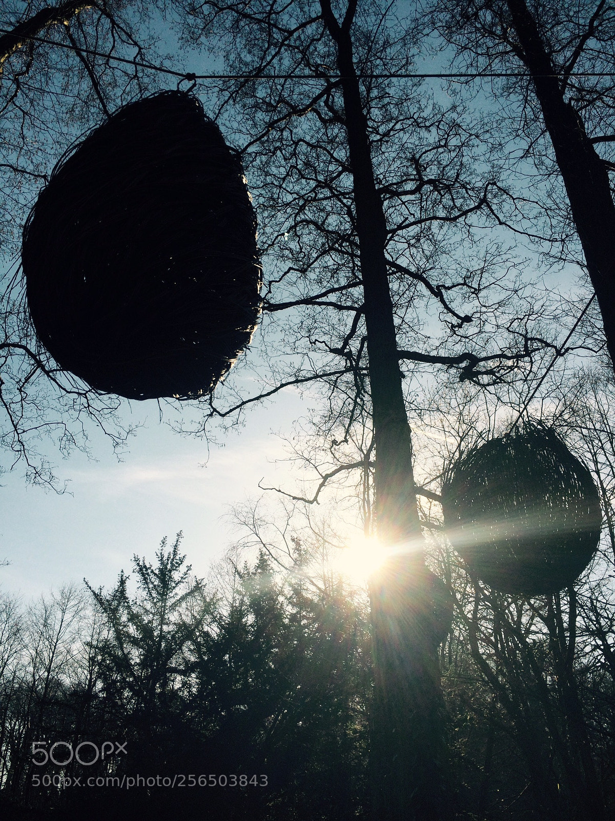 Apple iPhone 5s sample photo. Aecc abd f ac photography