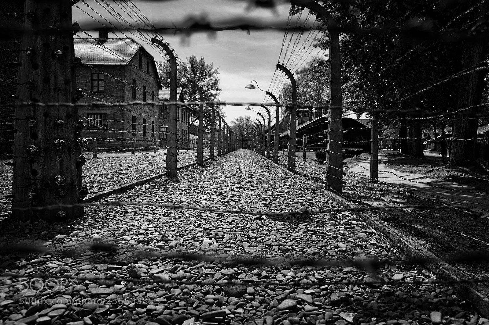 Canon EOS 6D sample photo. Auschwitz photography