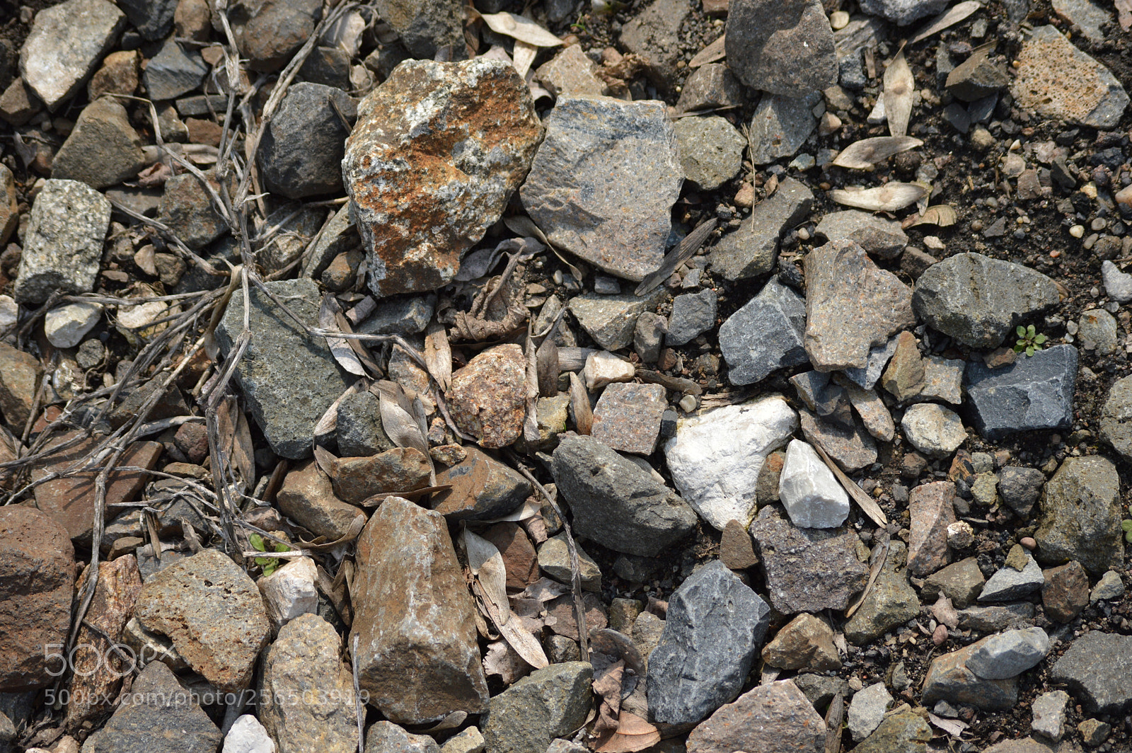 Nikon D3200 sample photo. Earth is a strange photography