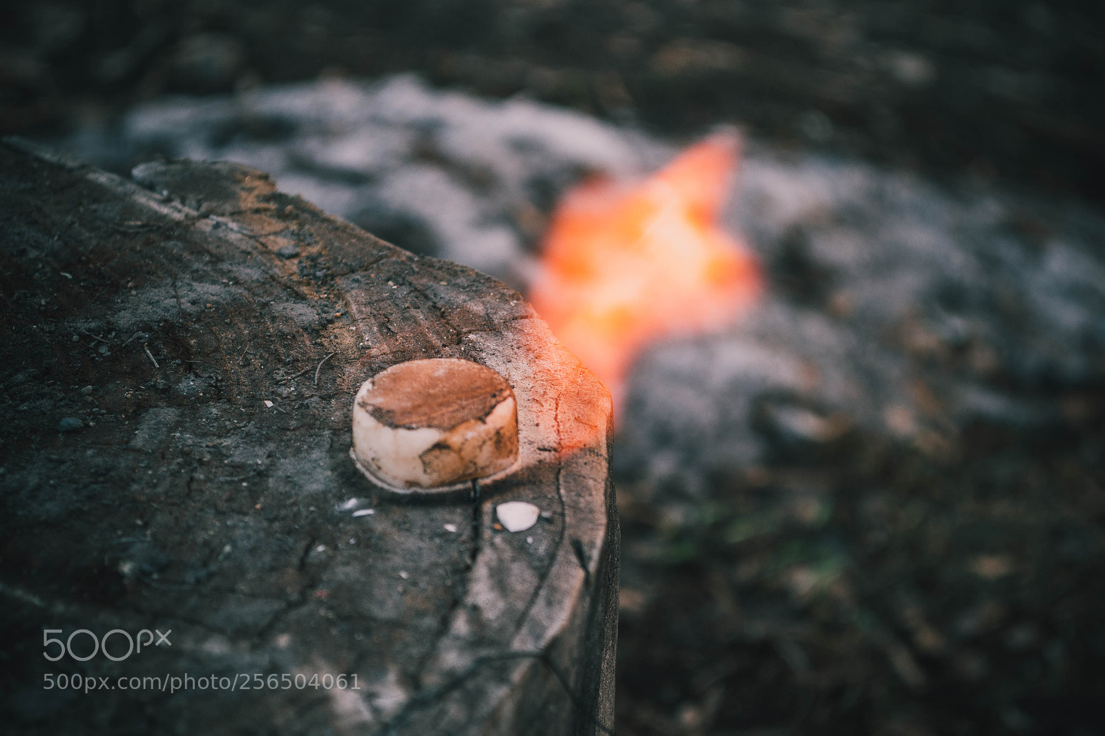 Nikon D3100 sample photo. Fire photography
