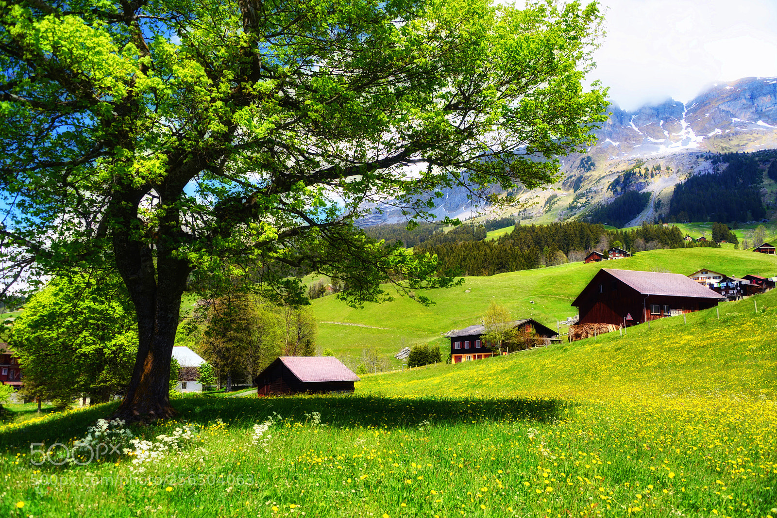Nikon D610 sample photo. Spring in alps photography