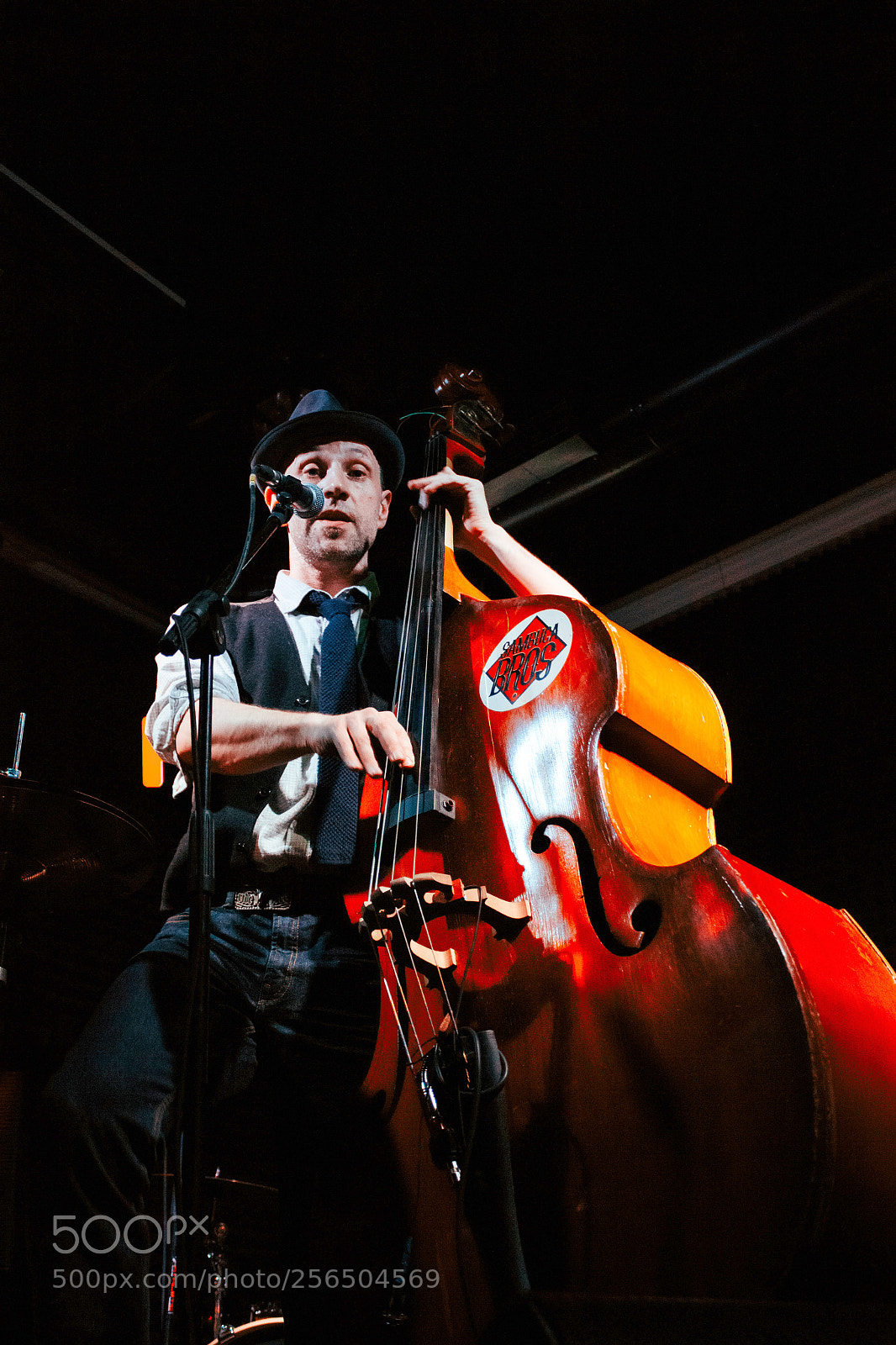 Canon EOS 100D (EOS Rebel SL1 / EOS Kiss X7) sample photo. Contrabass photography