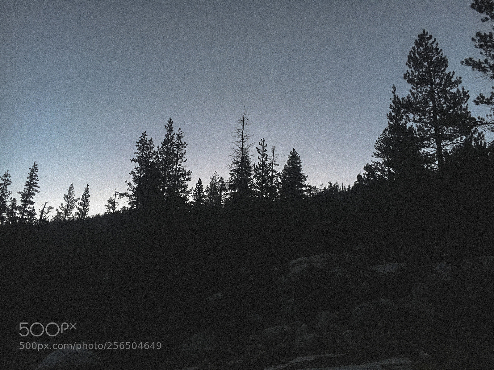 Apple iPhone 6s sample photo. Silent sunrise photography