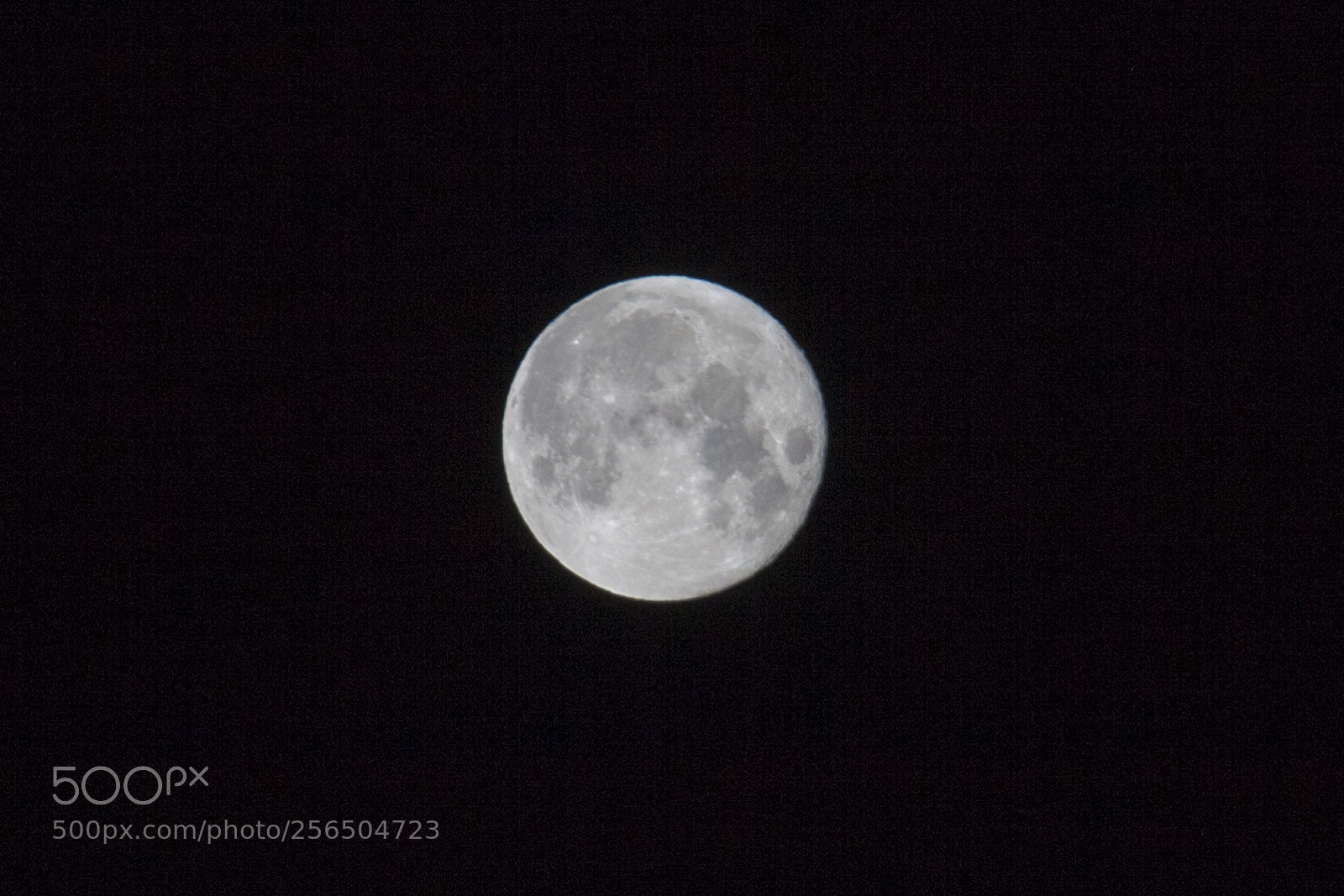 Canon EOS 5D Mark II sample photo. Untitled photography