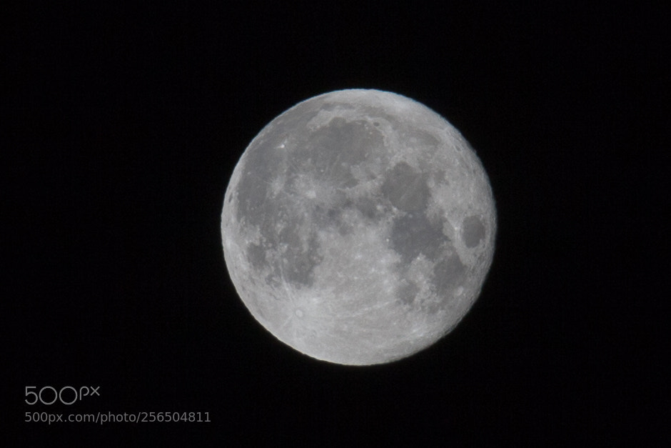 Canon EOS 5D Mark II sample photo. Untitled photography