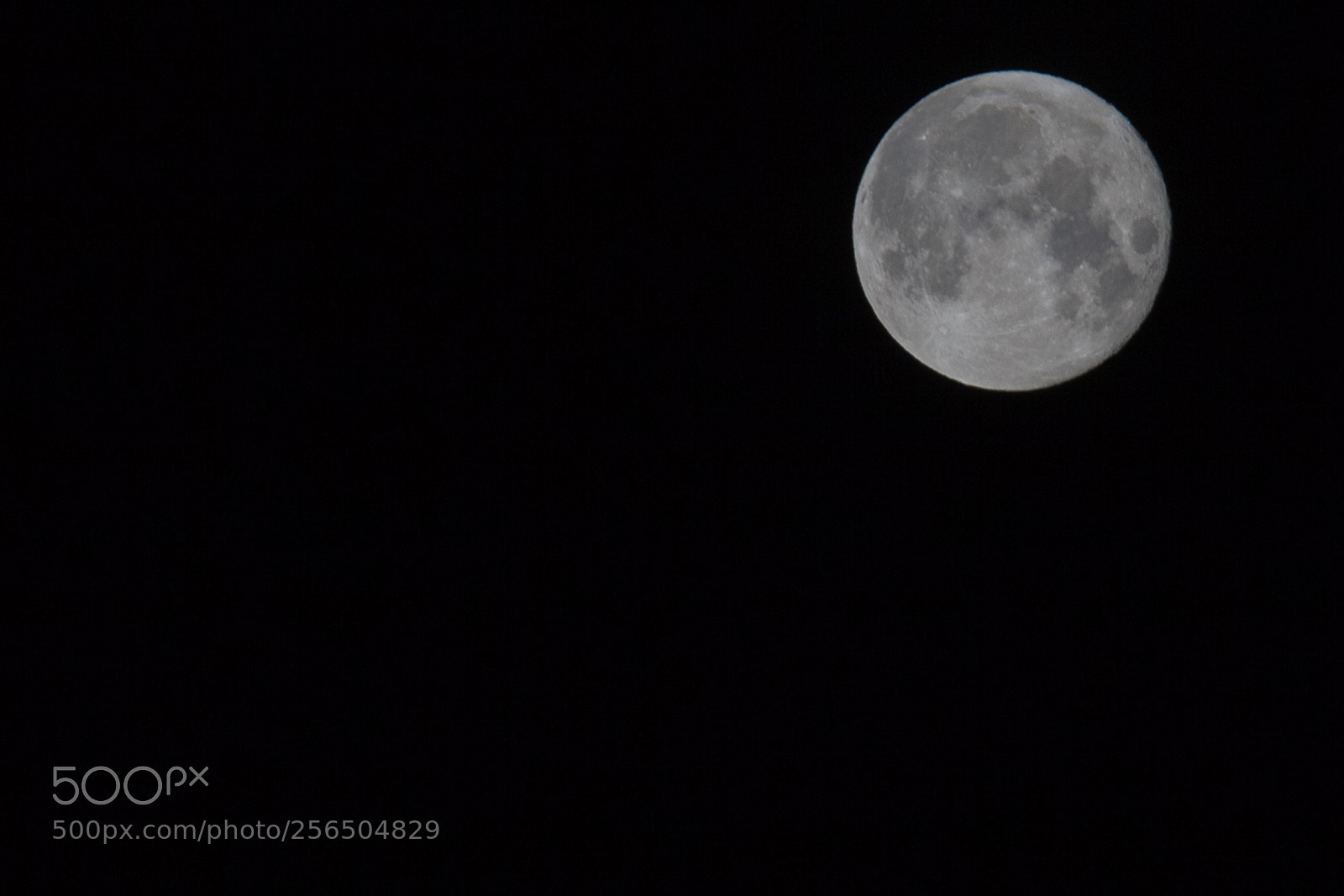 Canon EOS 5D Mark II sample photo. Untitled photography