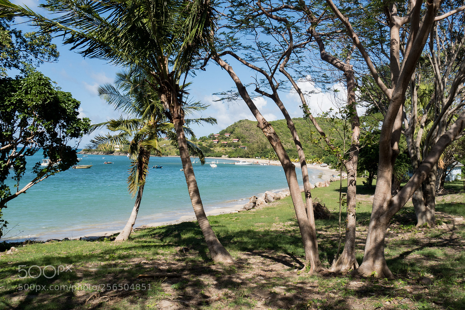 Olympus OM-D E-M5 II sample photo. Oualie beach photography