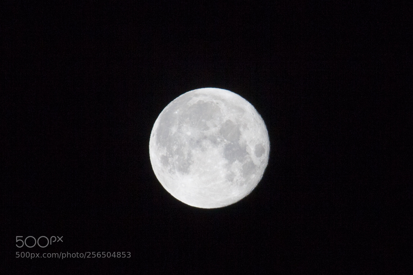 Canon EOS 5D Mark II sample photo. Untitled photography