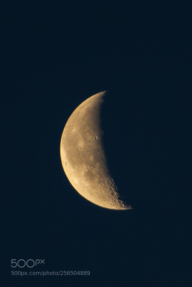 Canon EOS 5D Mark II sample photo. Untitled photography