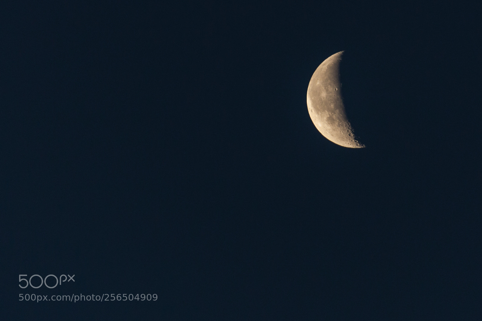 Canon EOS 5D Mark II sample photo. Untitled photography