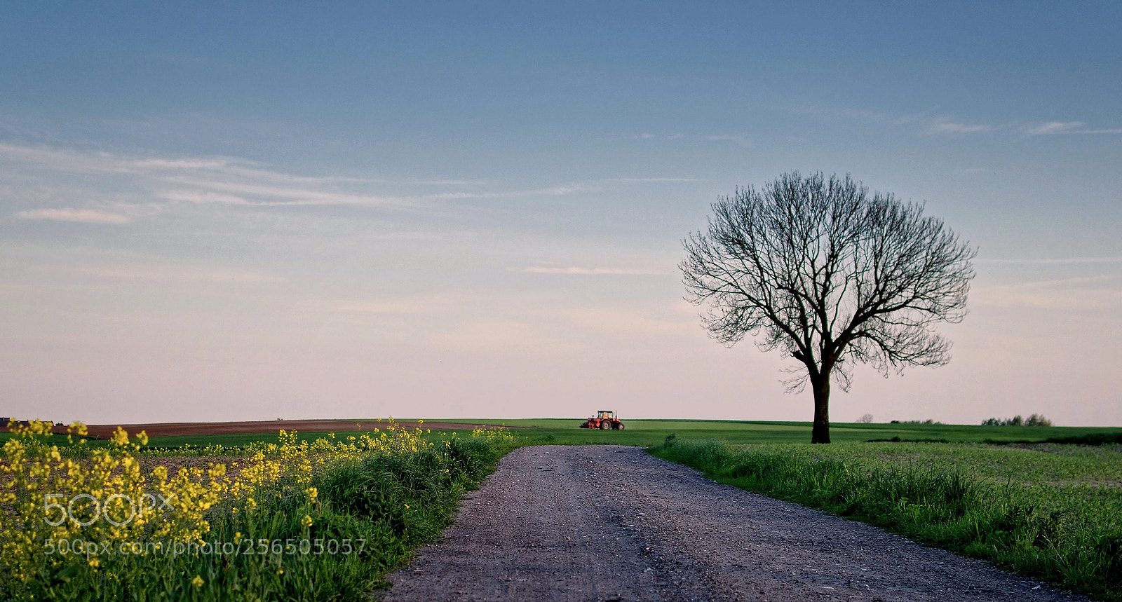 Pentax K-30 sample photo. The red tractor photography