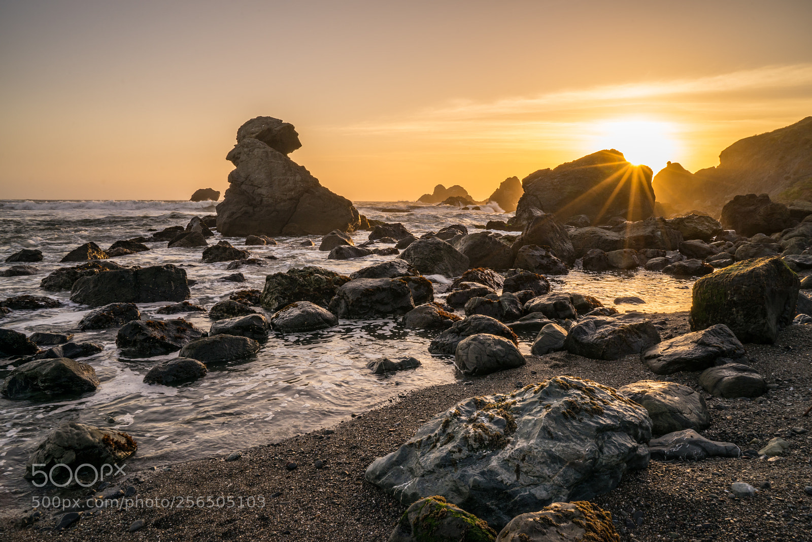 Sony a7R sample photo. California sunset photography