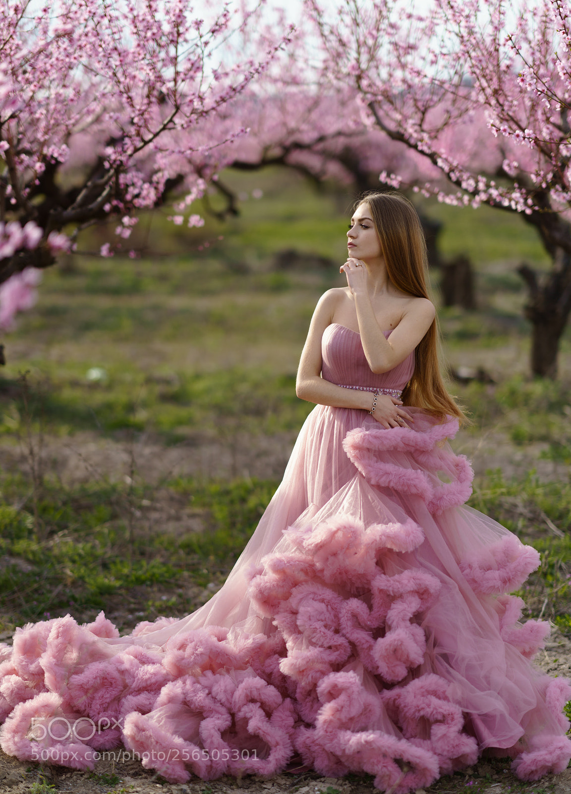 Sony a7R II sample photo. Mariya photography