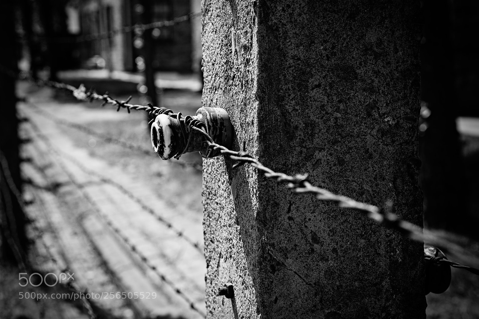 Canon EOS 6D sample photo. Auschwitz fence photography