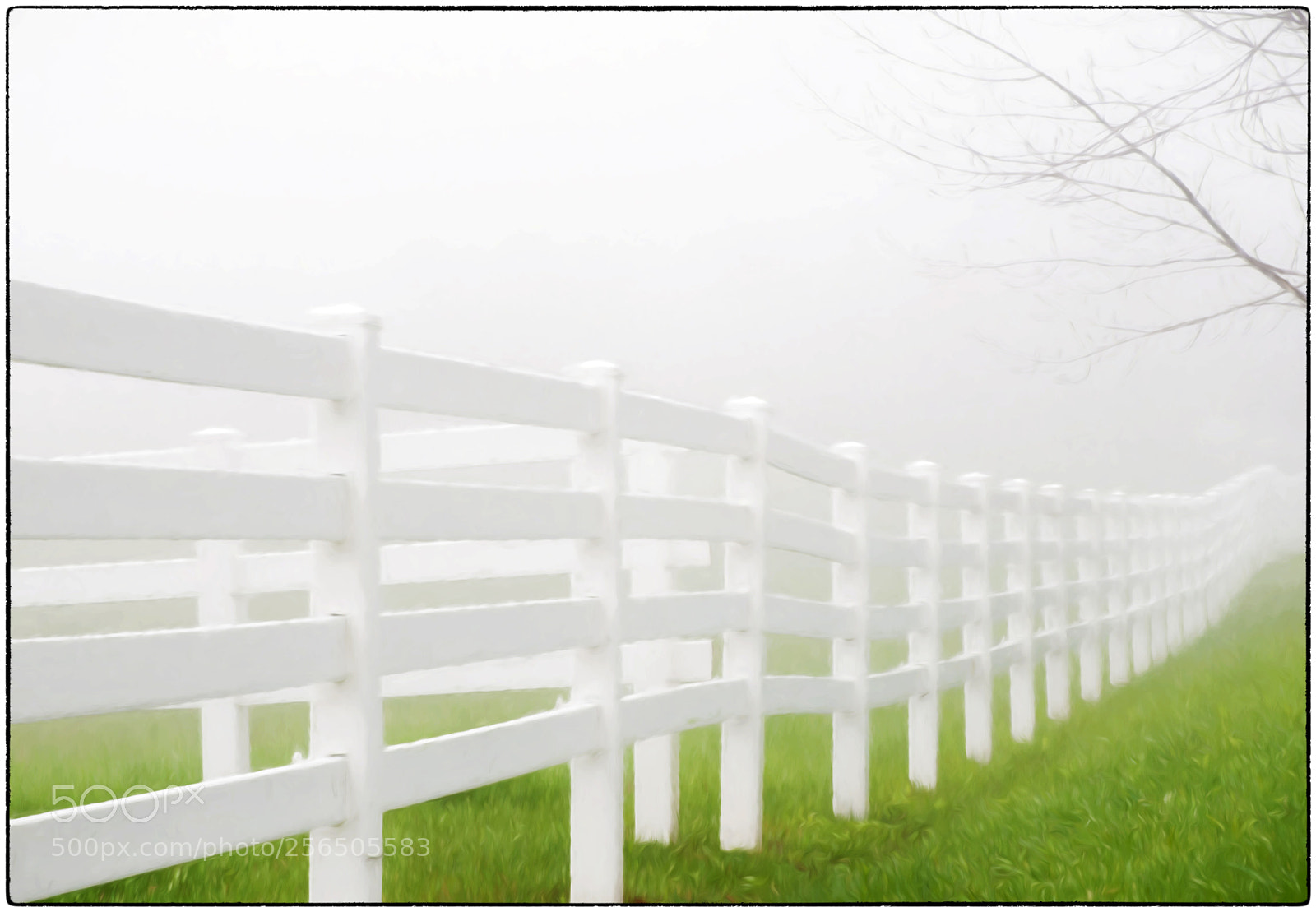 Nikon D300 sample photo. Foggy fence photography