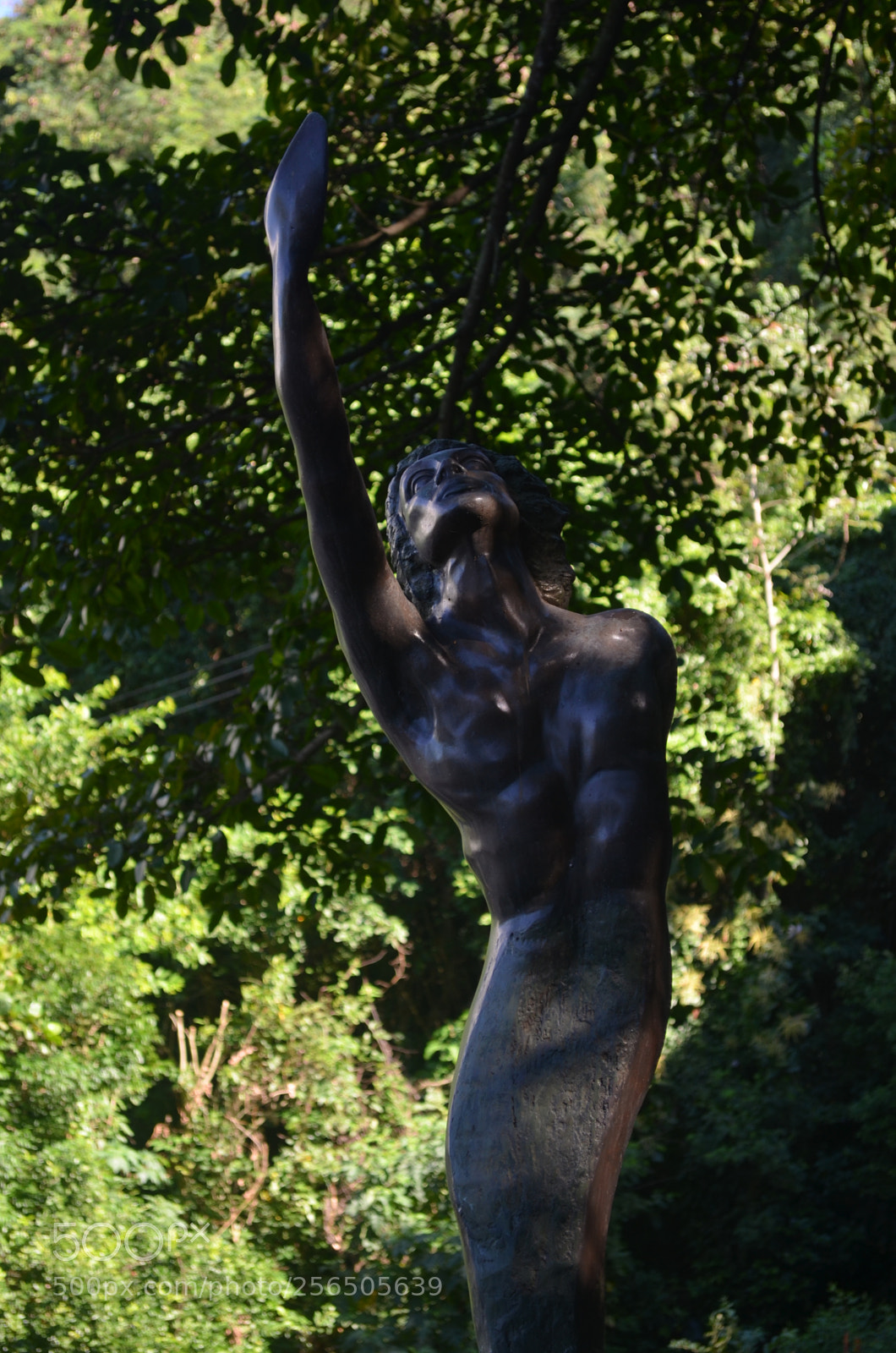 Nikon D5100 sample photo. Pq. da catacumba 2.2 photography