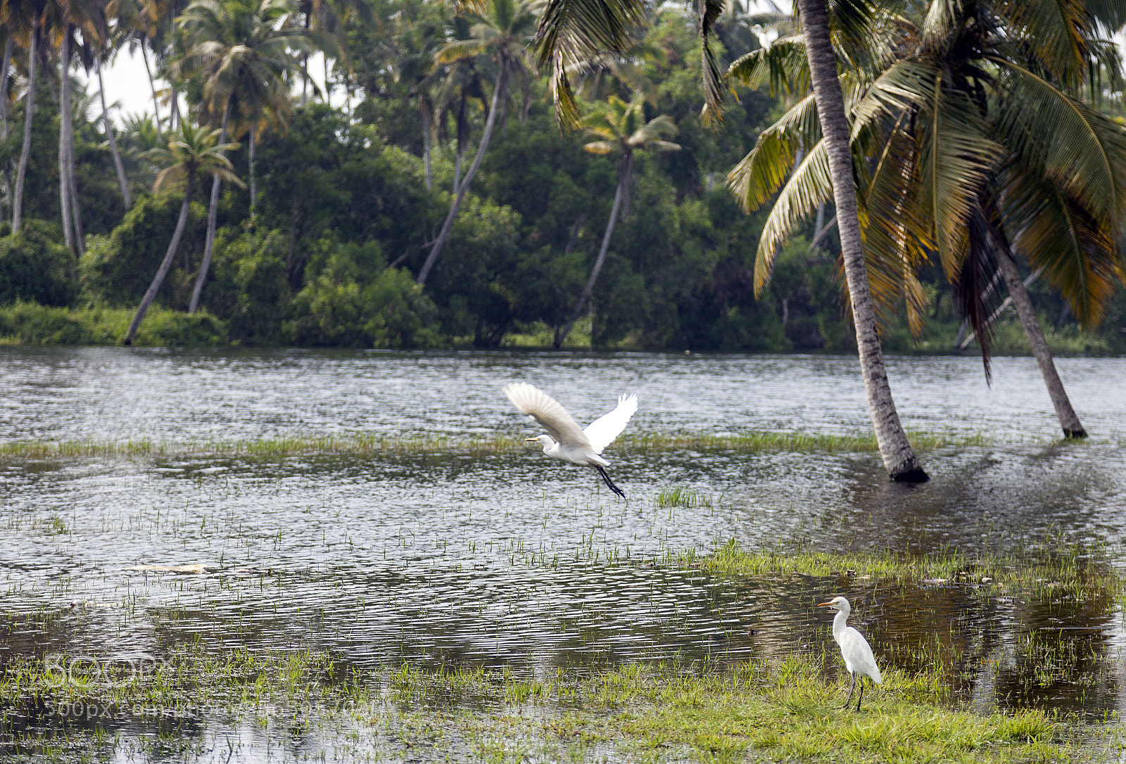 Canon EOS 5D Mark II sample photo. Southern india photography