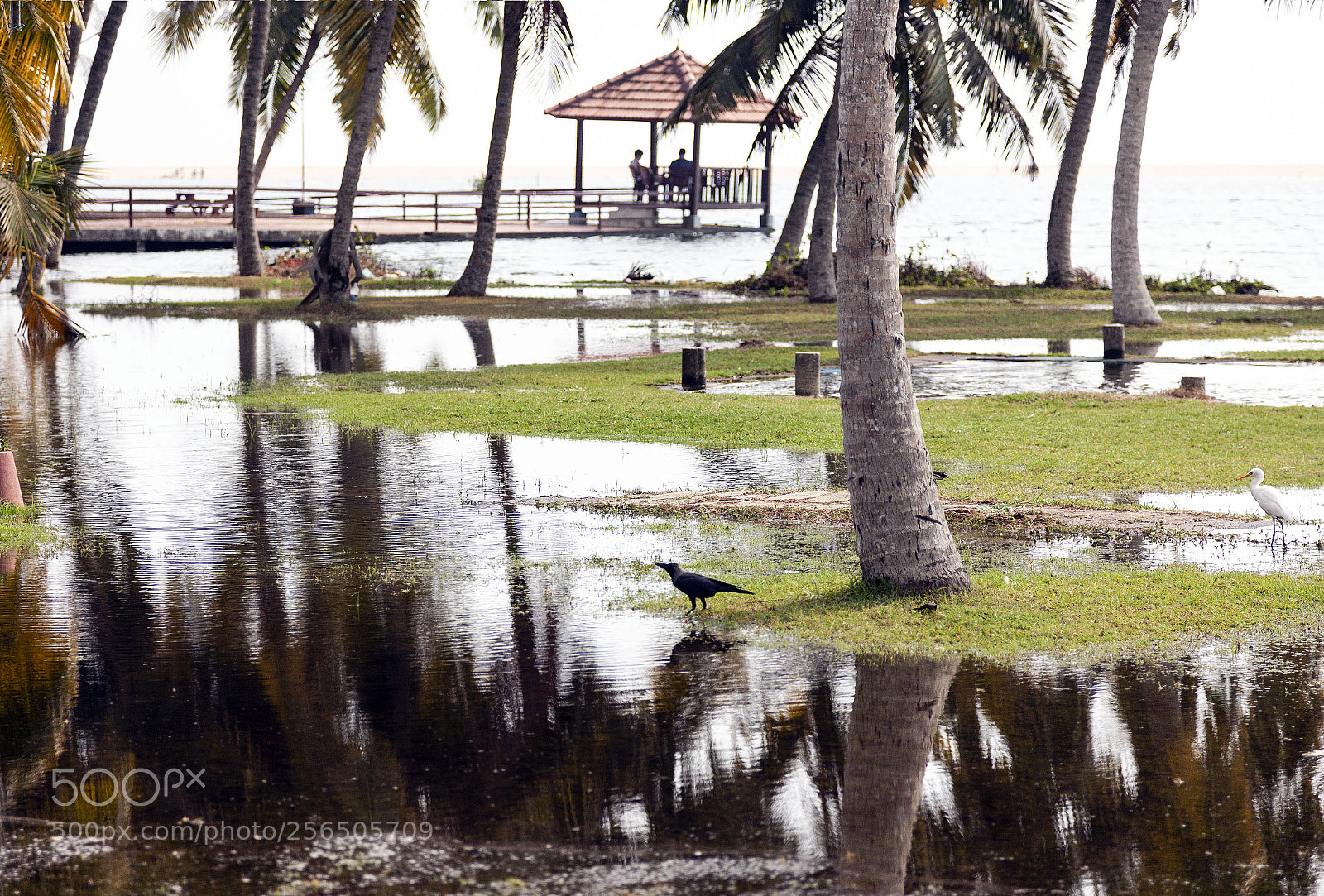 Canon EOS 5D Mark II sample photo. Southern india photography