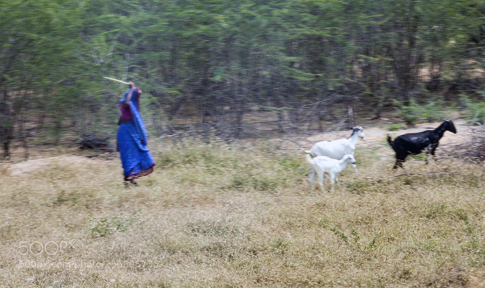 Canon EOS 5D Mark II sample photo. Southern india photography