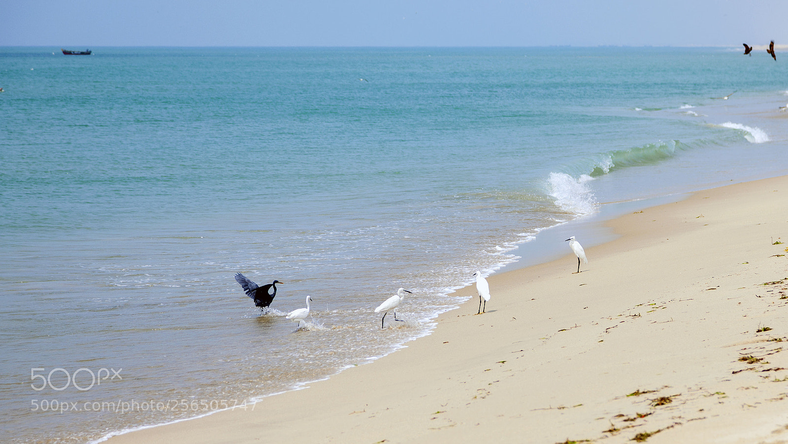 Canon EOS 5D Mark II sample photo. Southern india photography