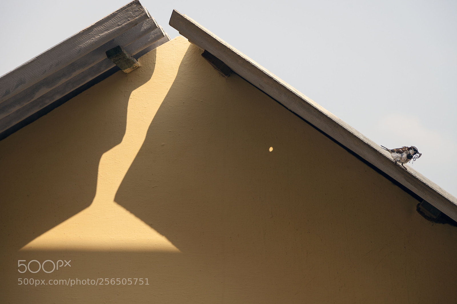 Canon EOS 5D Mark II sample photo. Southern india photography