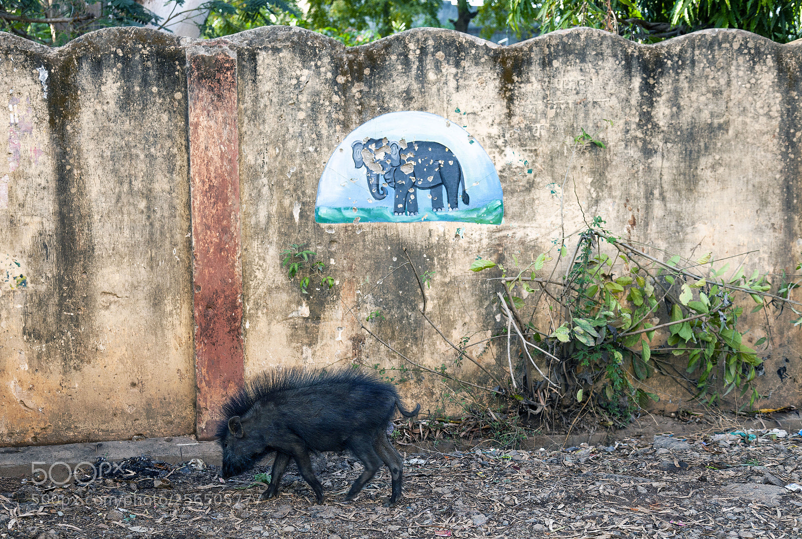 Canon EOS 5D Mark II sample photo. Southern india photography