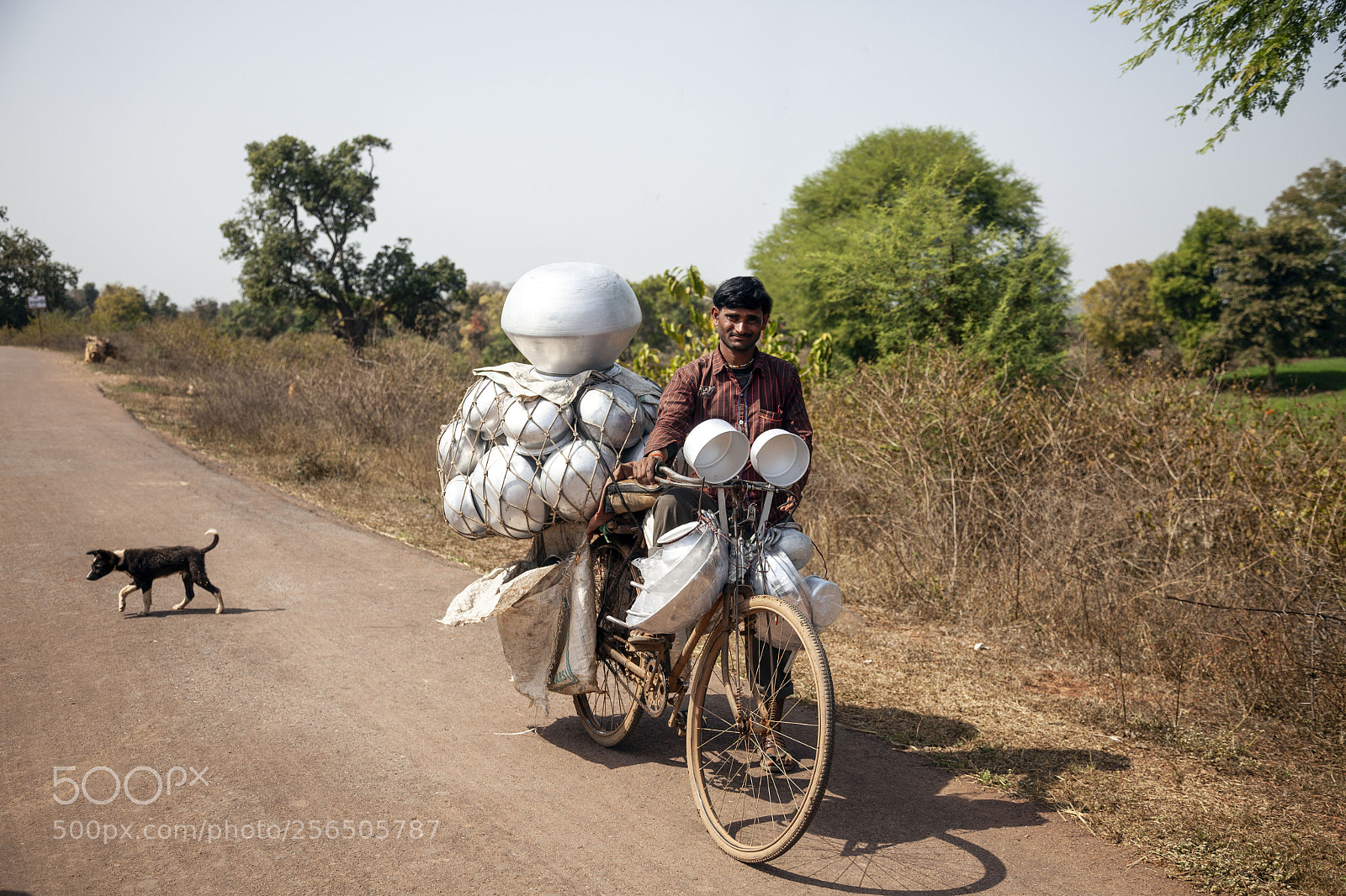 Canon EOS 5D Mark II sample photo. Southern india photography