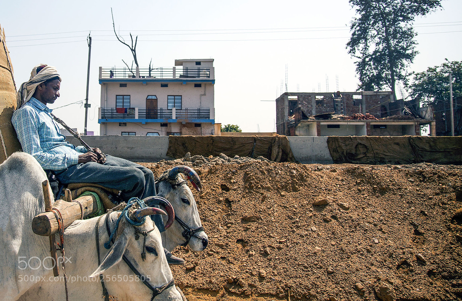 Canon EOS 5D Mark II sample photo. Southern india photography