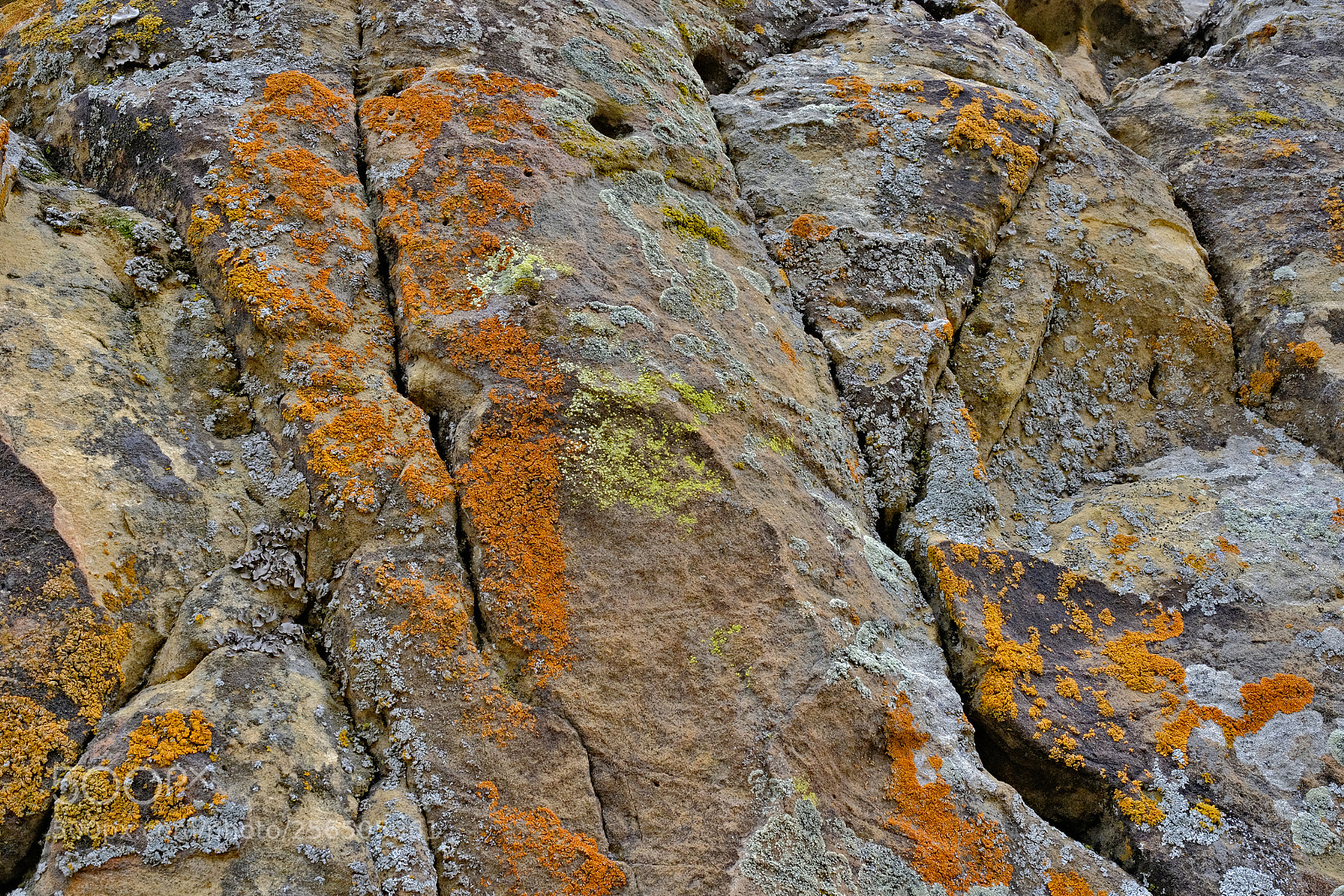 Fujifilm X-T2 sample photo. Rock wall photography