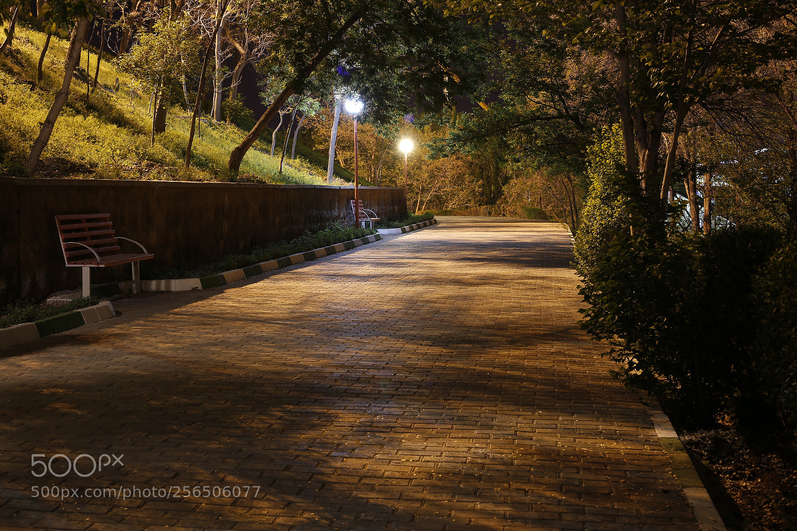 Canon EOS 6D sample photo. Calmetive photography