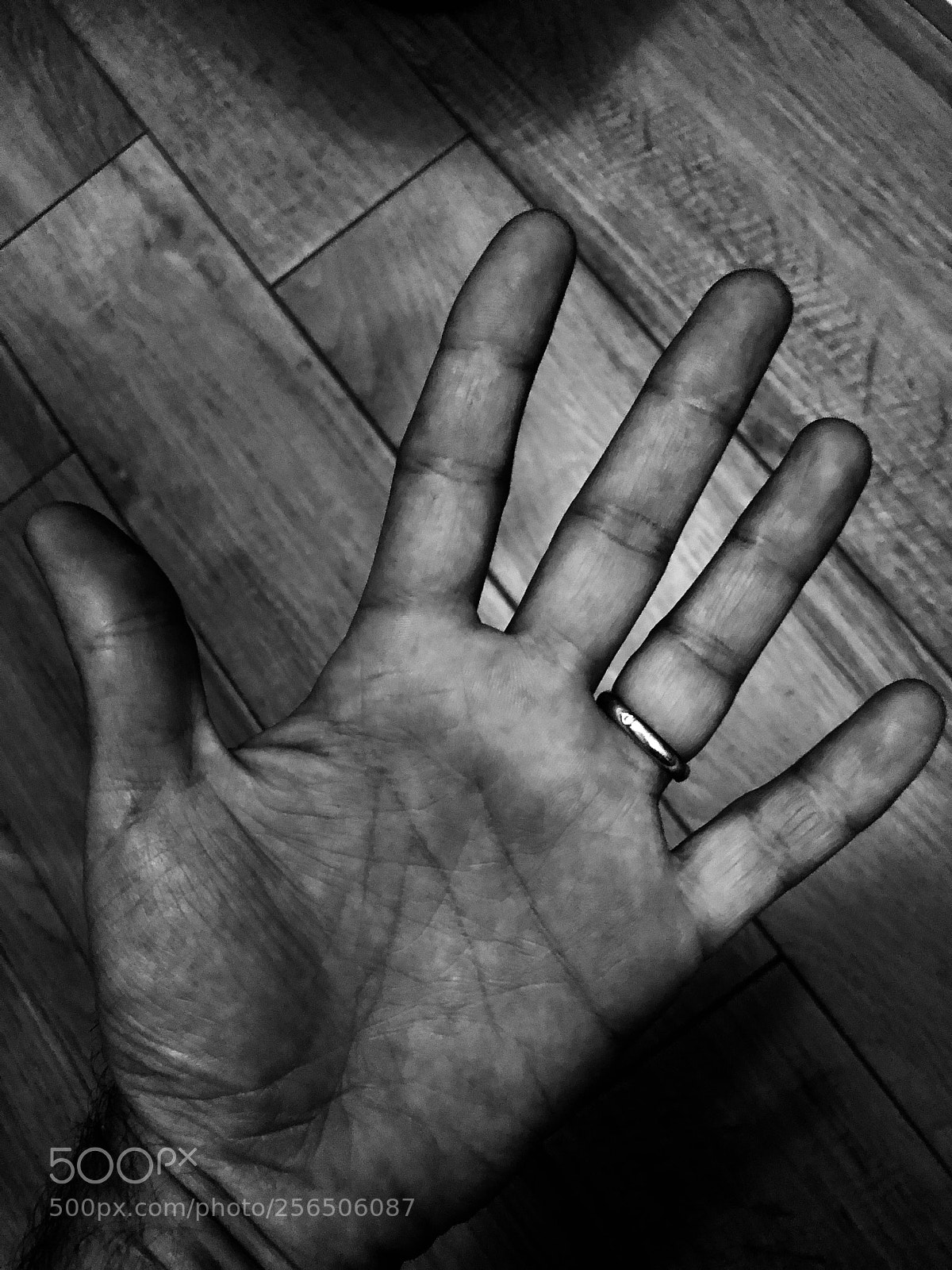 Apple iPhone X sample photo. Hand... photography