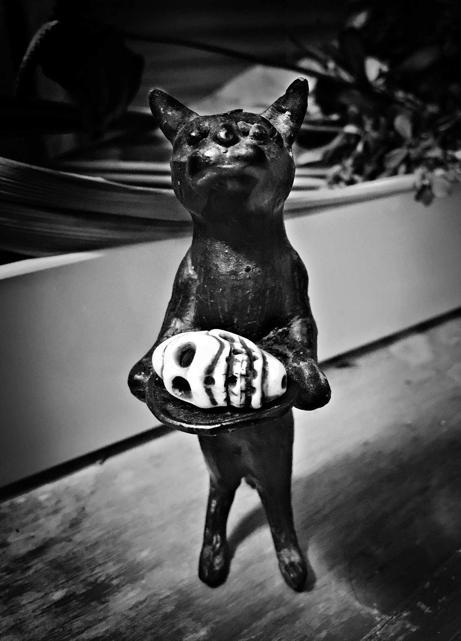 Blackie Camera sample photo