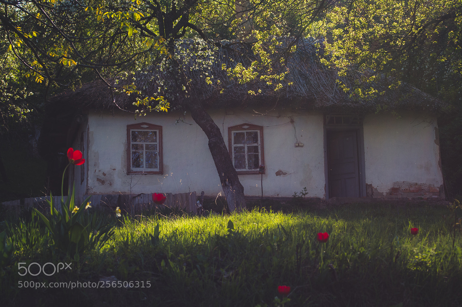 Nikon D7100 sample photo. Ukrainian village photography