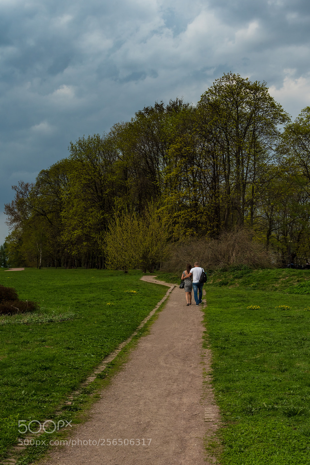 Nikon D750 sample photo. Stroll photography