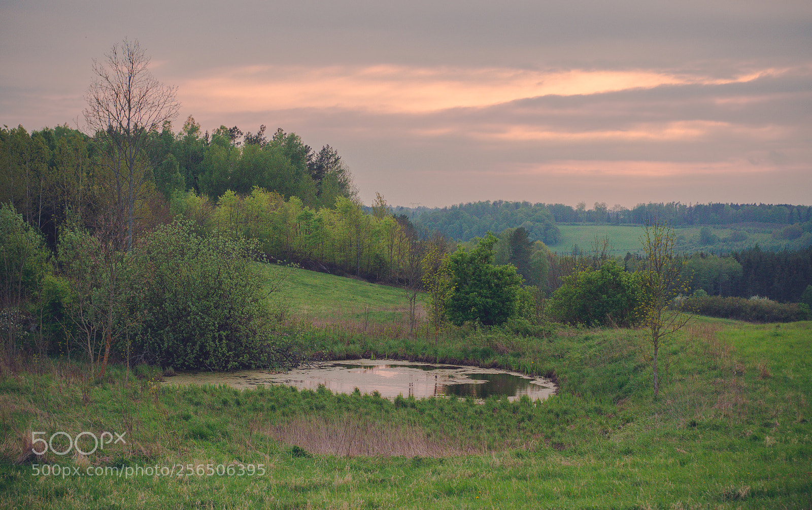 Nikon D7000 sample photo. Little pond photography