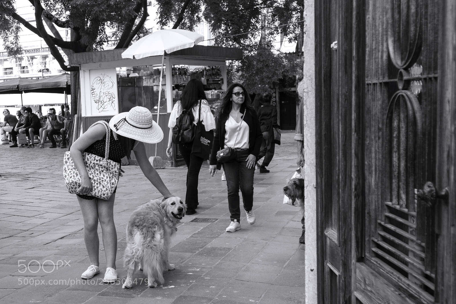 Canon EOS 760D (EOS Rebel T6s / EOS 8000D) sample photo. Street veneziana photography
